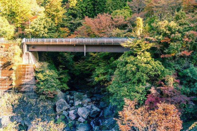 四季美谷温泉の周囲