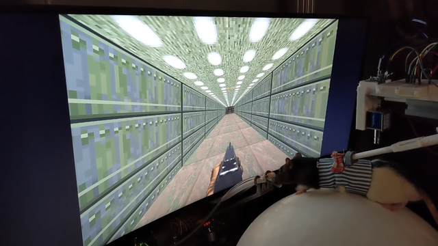 ネズミ用『DOOM』VR装置“バージョン2”が公開！大幅進化を遂げ、設計図は全てオープンソースに