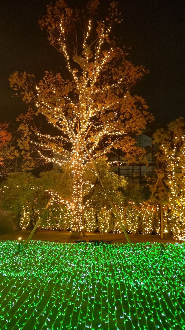 ニンテンドーミュージアムがライトアップ！アートギャラリーや『マリオ』40周年記念イベントなど期間限定施策を見てきました【レポート】