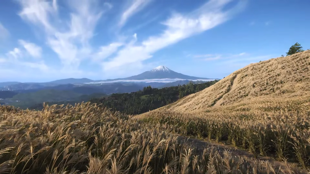 日本舞台の『Forza Horizon 6』は“なんちゃって日本”じゃない！都市から地方まで、実在感あふれる風景話題に