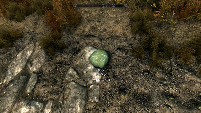 『スカイリム』キャベツ1個で高所もヘッチャラ！？まさかの落下ダメージを無効化するテクニックに注目集まる