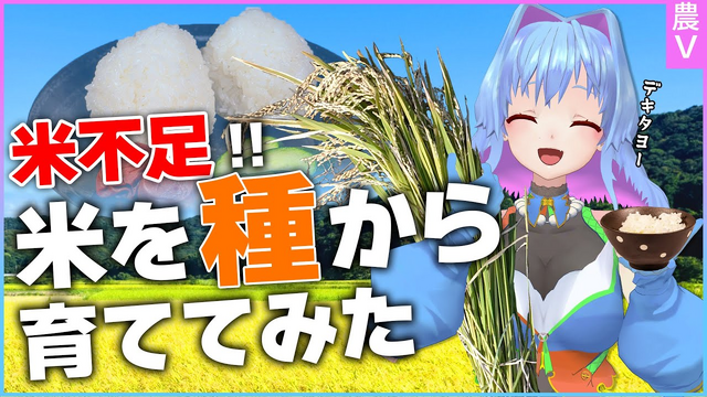 現役米農家VTuberが挑戦！ 新作『天穂のサクナヒメ～ヒヌカ巡霊譚～』で味わう“稲作”の魅力をピーキーハイカーズに訊いてきた