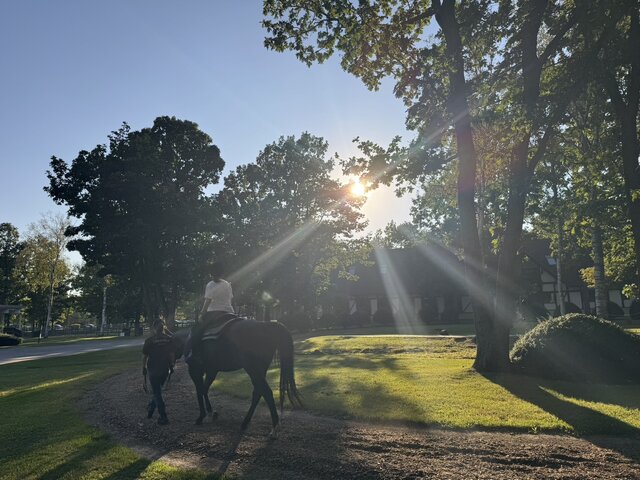 【特集】現代競馬の偉大なる母、御年35歳のウインドインハーヘアに後光がさしていた…！名馬と触れ合える「ノーザンホースパーク」訪問記