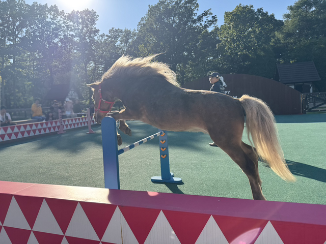 【特集】現代競馬の偉大なる母、御年35歳のウインドインハーヘアに後光がさしていた…！名馬と触れ合える「ノーザンホースパーク」訪問記