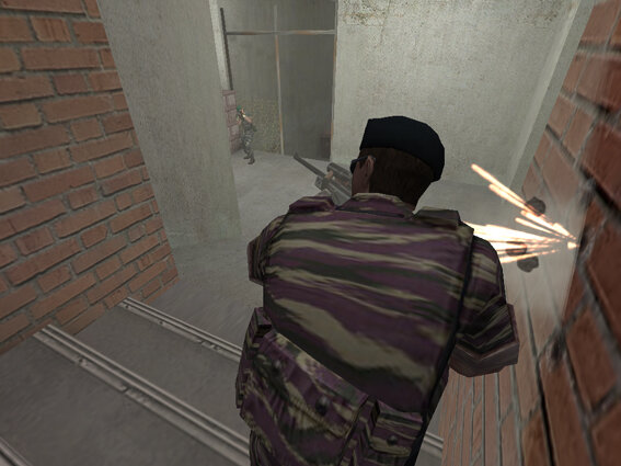 SPECIAL FORCE