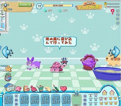 『Wonder Fish』と『恋するペット』の提供開始－aimaで