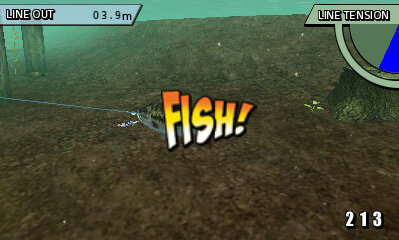 FISH ON