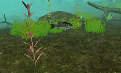 FISH ON