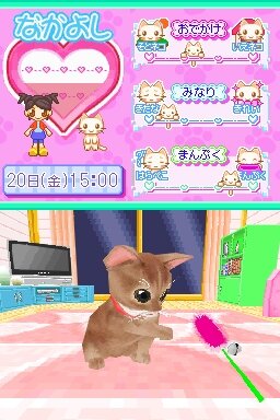 かわいい子猫DS