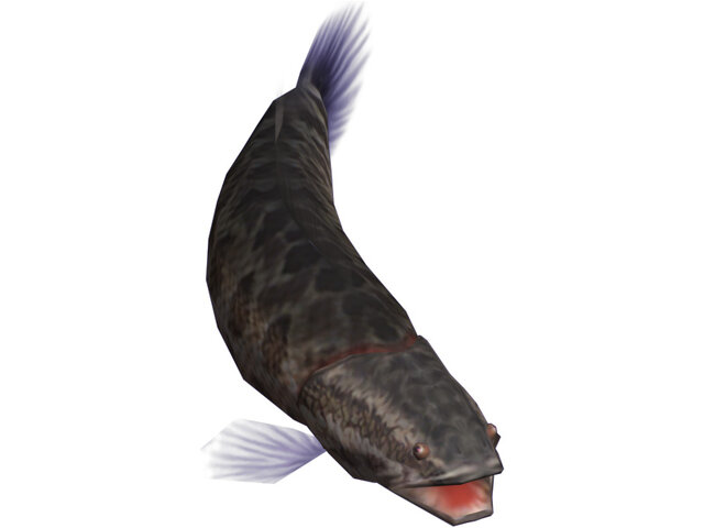 釣りパラダイス!
