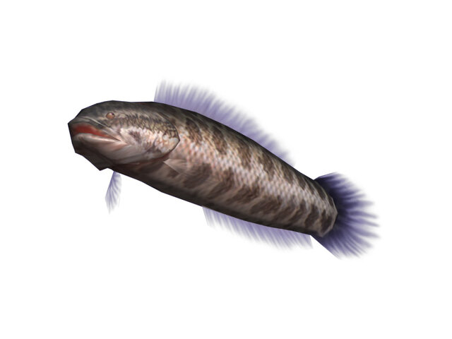 釣りパラダイス!
