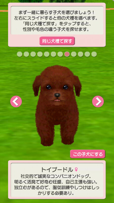 子犬と一緒に暮らすソーシャルペットゲーム『どこでもペット かわいい子犬』 