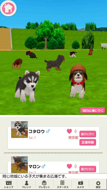 子犬と一緒に暮らすソーシャルペットゲーム『どこでもペット かわいい子犬』 