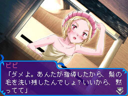 『しろがねの鳥籠』DSiウェアで配信決定 ― SFとファンタジーが融合「冒険恋愛アドベンチャー」