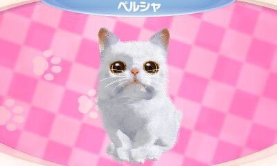 かわいい子猫３Ｄ