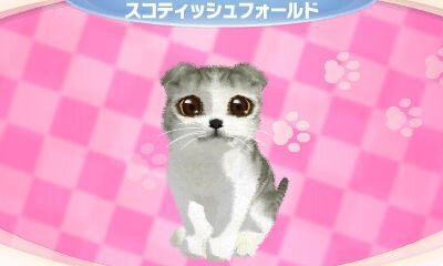 かわいい子猫３Ｄ