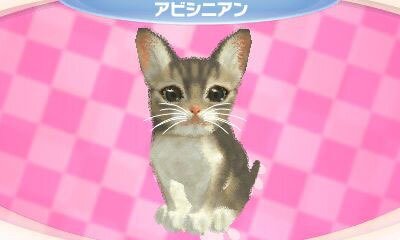 かわいい子猫３Ｄ