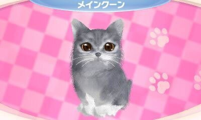かわいい子猫３Ｄ