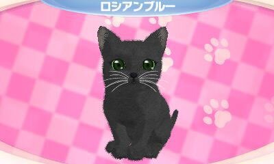 かわいい子猫３Ｄ