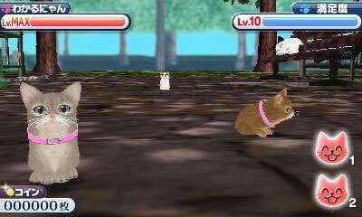 かわいい子猫３Ｄ