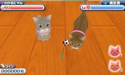 かわいい子猫３Ｄ