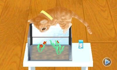 かわいい子猫３Ｄ