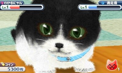 かわいい子猫３Ｄ