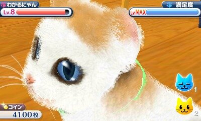 かわいい子猫３Ｄ