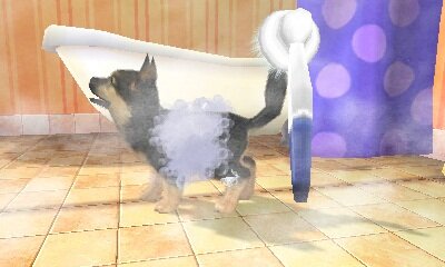 村で動物たちとの生活を満喫『オシャレでかわいい 子犬と遊ぼ！-海編-』12月20日発売