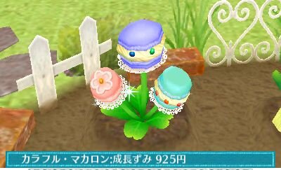 『クマ・トモ』ゲーム要素「ガーデニング」「ショッピング」「料理」「食事」の詳細が明らかに