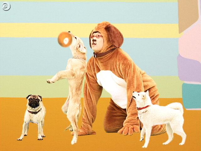 南海キャンディーズ・山ちゃん＝犬！『ペットショップ物語 DS』CM放映
