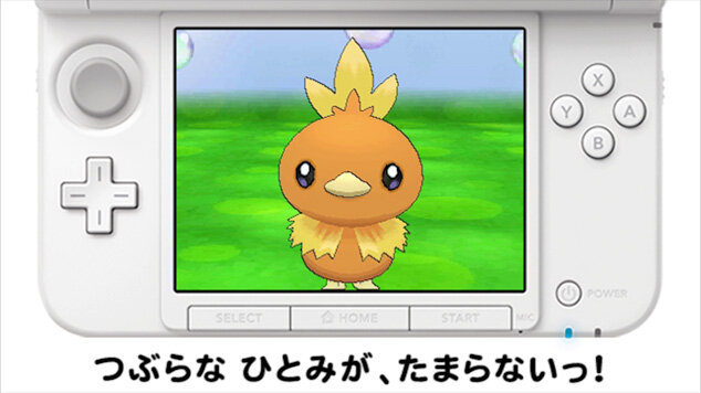 登場するポケモンは毎日日替わり