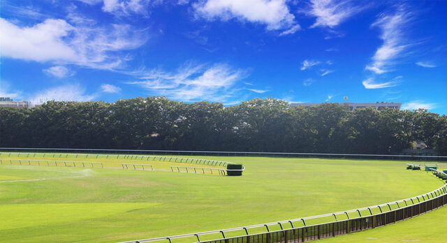 ルコック競馬場イメージ