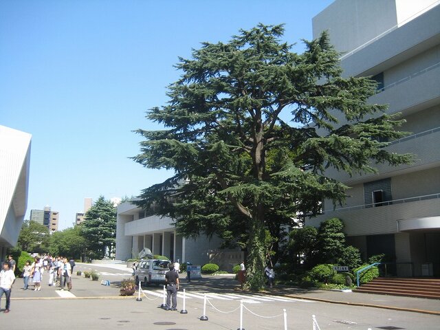 CEDEC 2008が開幕〜3日間で約100セッションが予定