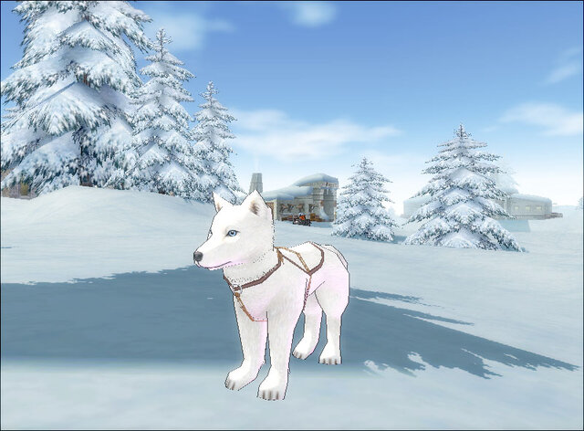 Developed by devCat Copyright (c) Nexon Corporation and Nexon Japan Co.,Ltd. All rights reserved.