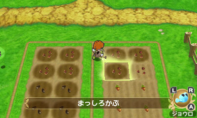 作物作り