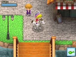 牧場物語 ようこそ!風のバザールへ