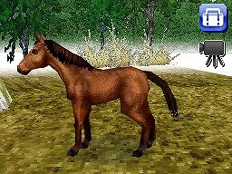 カジュアルシリーズ2980 Petz Horsez ホースズ