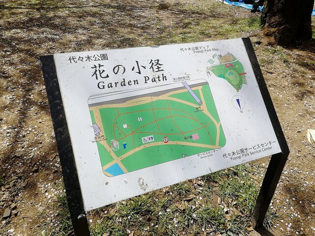 【読者の皆さまへ】3月31日、インサイド/Game*Spark編集部とゆるふわお花見しませんか？【UPDATE】