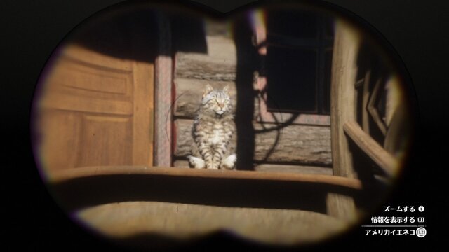 『レッド・デッド・リデンプション2』でも「猫の日」を堪能したい！ “都会の猫”と“田舎の猫”に24時間密着