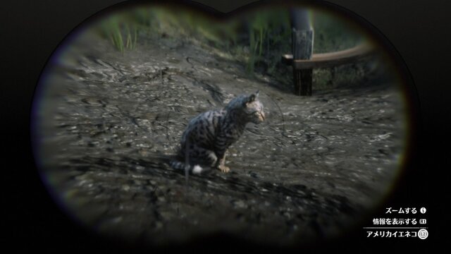 『レッド・デッド・リデンプション2』でも「猫の日」を堪能したい！ “都会の猫”と“田舎の猫”に24時間密着