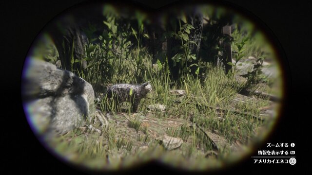 『レッド・デッド・リデンプション2』でも「猫の日」を堪能したい！ “都会の猫”と“田舎の猫”に24時間密着
