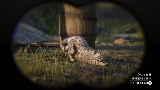 『レッド・デッド・リデンプション2』でも「猫の日」を堪能したい！ “都会の猫”と“田舎の猫”に24時間密着