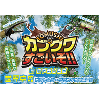 ヘラクレスオオカブトなど世界の人気昆虫が大集合！ 『TOMUSHIのカブクワすごいぞ！！　in けやきひろば』を7月18日から開催